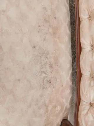 Sofá Estilo Luis XVI Tapizado