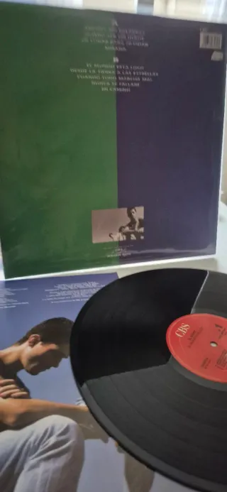 Vinilo El Norte - El Mundo Está Loco