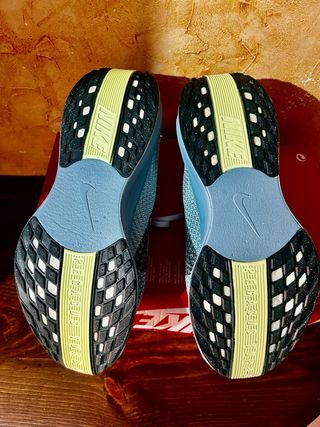 Nike Pegasus Plus Talla 41