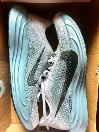 Nike Pegasus Plus Talla 41