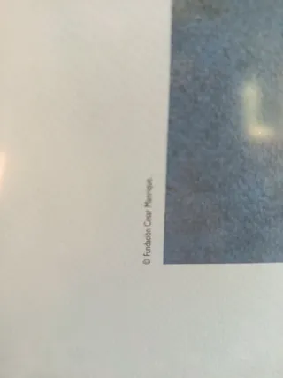 Obra Fundación César Manrique.