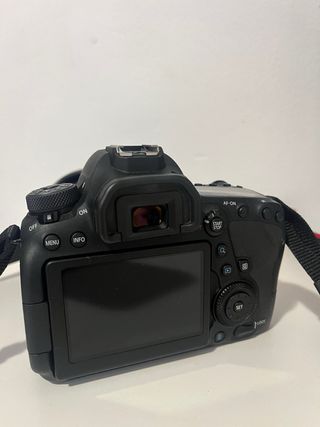 Canon 6D Mark II + Tamron 24-70mm f2.8