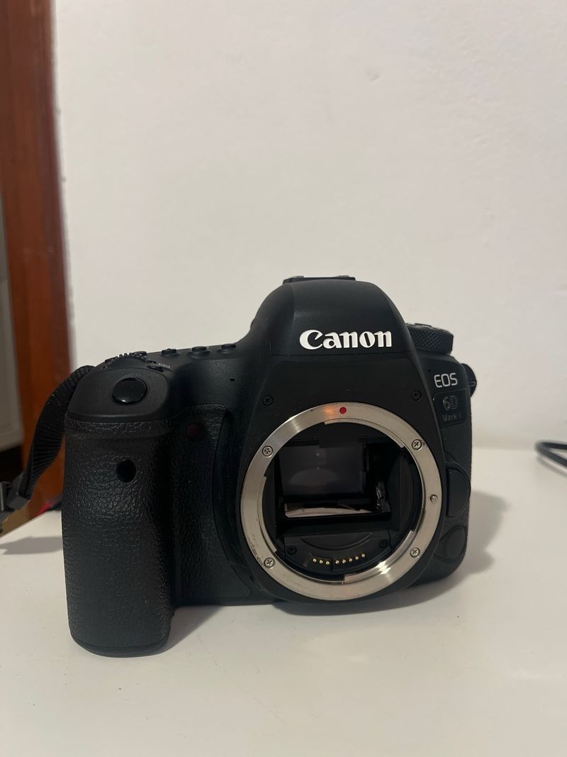 Canon 6D Mark II + Tamron 24-70mm f2.8 afbeelding 9
