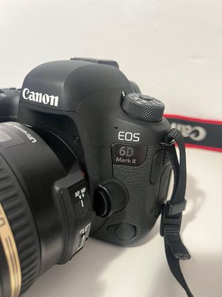 Canon 6D Mark II + Tamron 24-70mm f2.8