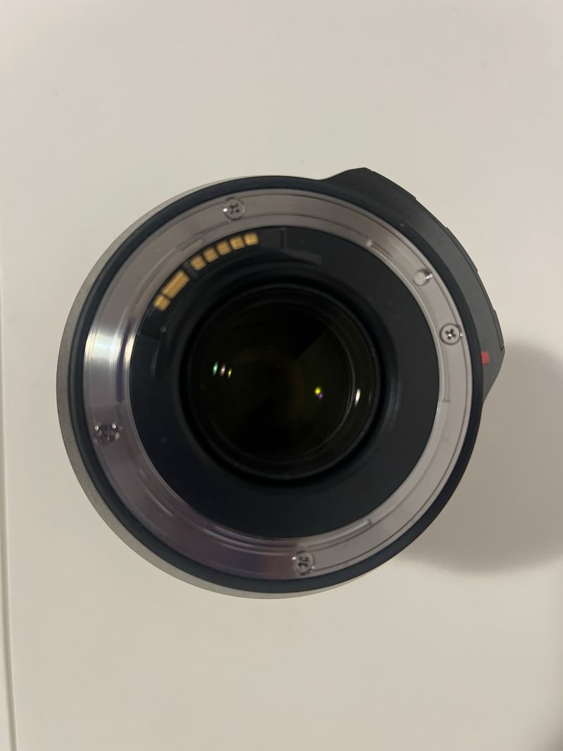 Canon 6D Mark II + Tamron 24-70mm f2.8 afbeelding 8