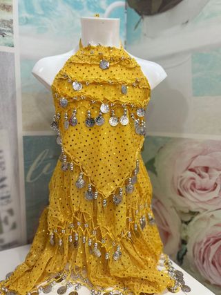 Lote de conjuntos de danza vientre