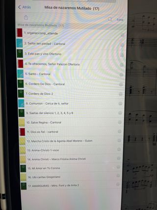 iPad Pro 12.9 128GB Plata SIM con 2 fundas.