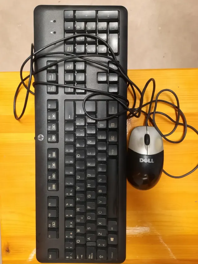 Teclado y Ratón HP Negro y Plateado. Vic