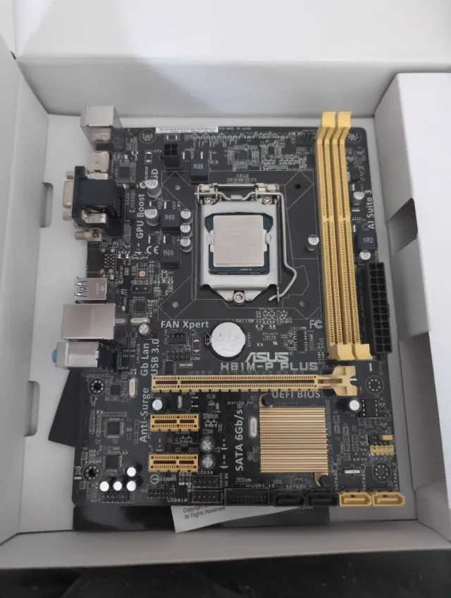 Placa Base Asus H81M-P PLUS