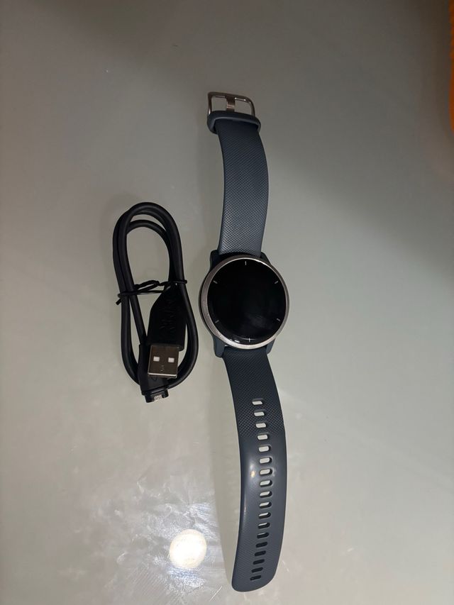 Smartwatch Garmin Gris/Azul Marino