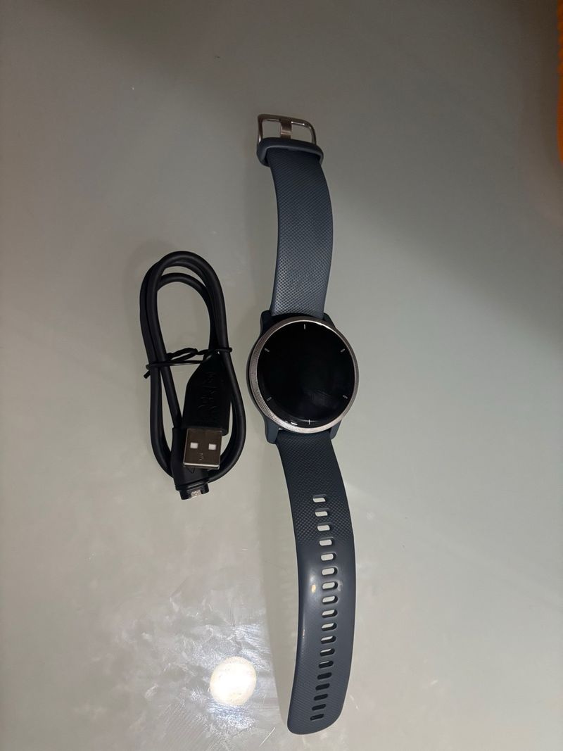 Smartwatch Garmin Gris/Azul Marino