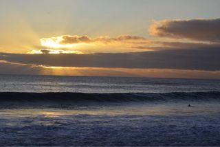 Cámara Nikon D5100 + Trípode 130cm