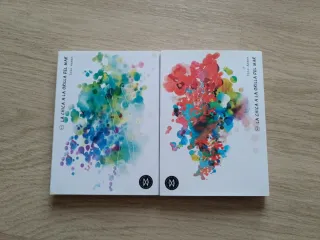 La chica a la orilla del mar Completa