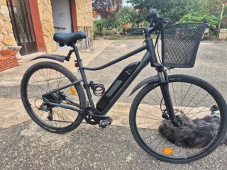 Bicicleta eléctrica Riverside 500E