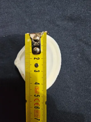 Conchiglie marine naturali