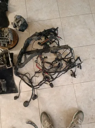 Cableado S50B32 BMW M3 E36