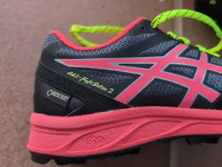 Asics Gel Bamvas GORE-TEX