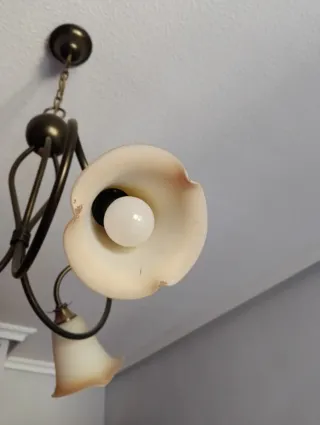 Lámpara de techo 3 tulipas