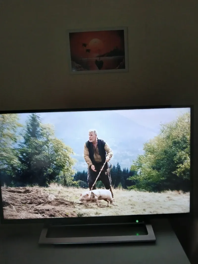 TV TOSHIBA 43 Buen Estado afbeelding 3
