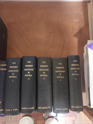 Los premios goncourt de novela