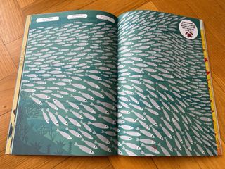 Libro infantil de observación Cherche et trouve!