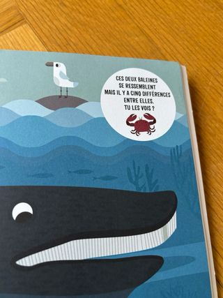 Libro infantil de observación Cherche et trouve!