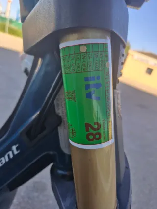 Derbi Variant Moped Verde Oscuro