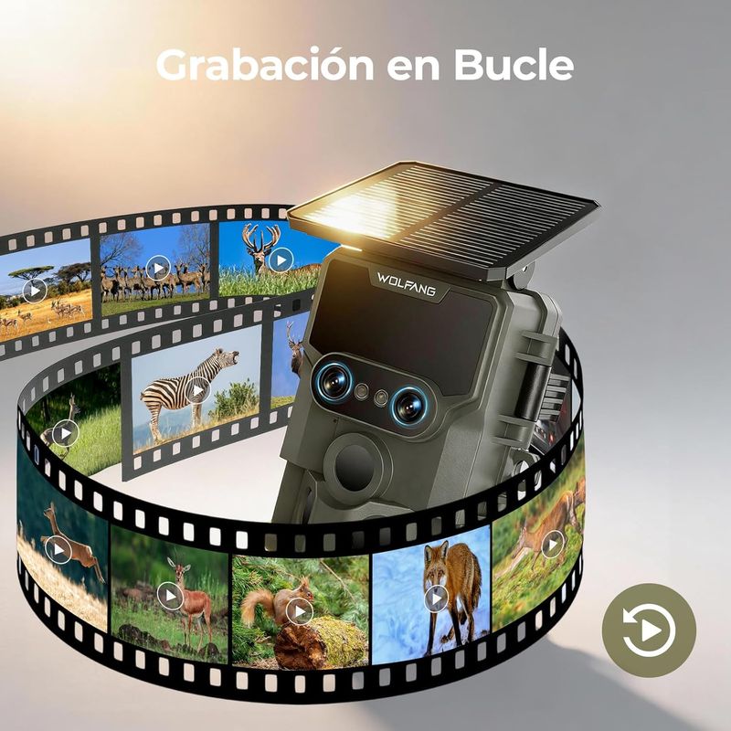 NUEVA Cámara de Caza Solar 4K 64MP WOLFANG afbeelding 6