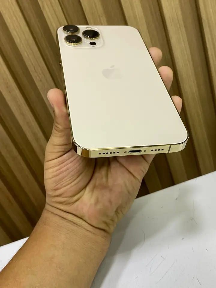 iPhone 13 Pro Max Dorado afbeelding 4