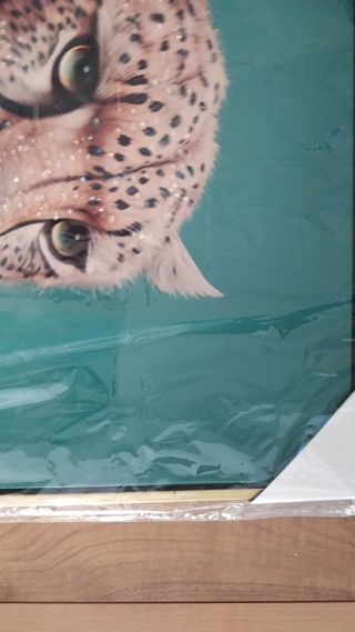 Cuadro animales pared