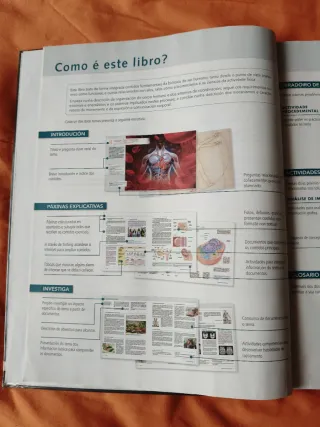 Libro anatomía aplicada edición en galego