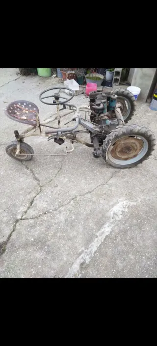 Bertolini Motocultor