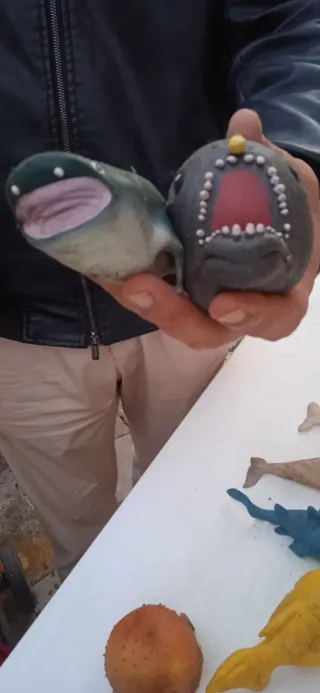 Set completo giocattoli morbidi animali marini