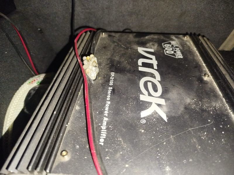 Subwoofer + Etapa de Potencia afbeelding 2