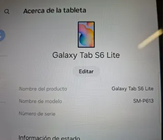 Samsung Tab S6 Lite Tablet