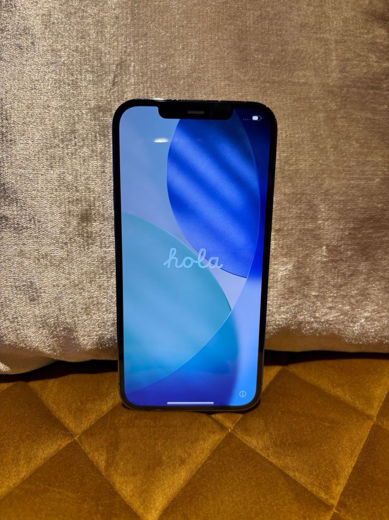 iPhone 12 Pro Max Space Gray afbeelding 3
