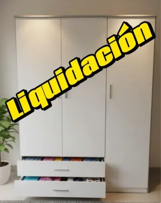 Armario de madera con 6 puertas