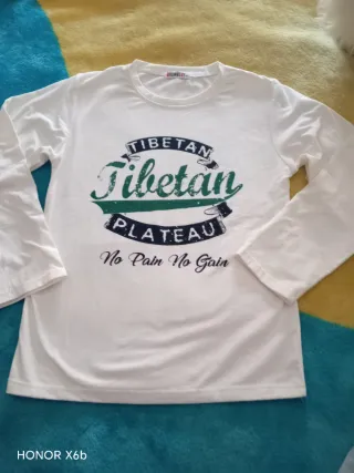 Lote Ropa Niño 12-14 Años Camisetas Chaleco