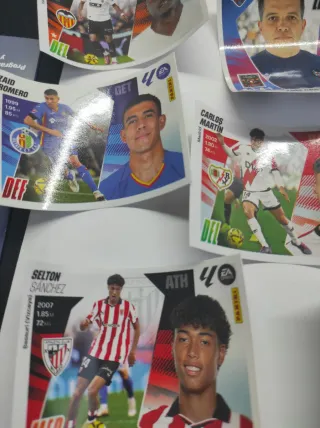 Panini Este Ampliación Invierno