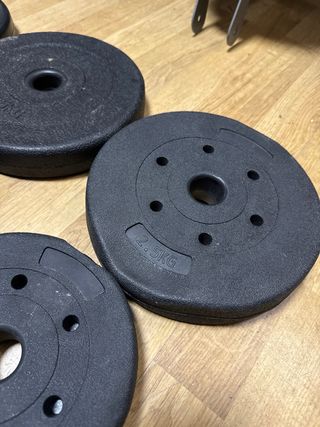 Par Mancuernas 12.5kg DISCOS CON TARAS