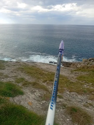 Caña de pescar Tubertini Magma Evo