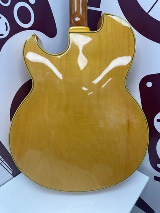 Guitarra Electrica Acustica Ibañez pm100nt