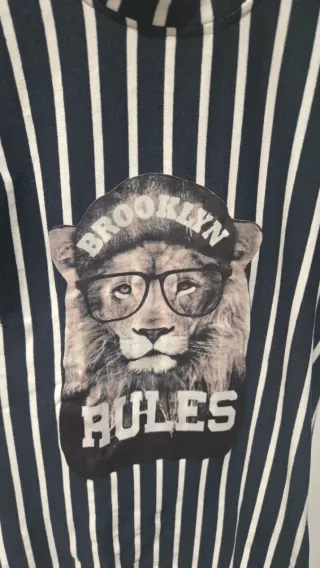 Blusa Rayas con Estampado León