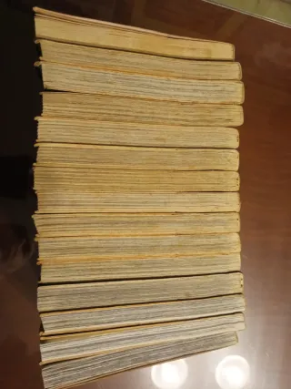 Bastard (Tomos 1 a 18)