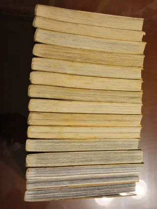 Bastard (Tomos 1 a 18)