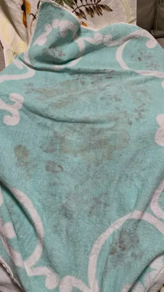 Set 6 Asciugamani Cotone Spugna Floreale