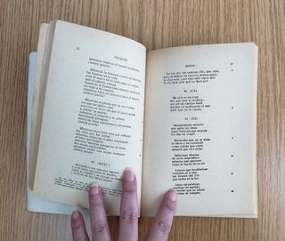 "Rimas y Leyendas / Cartas desde mi celda"