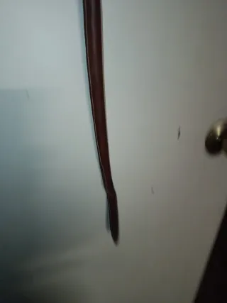 Látigo de cuero para caballos