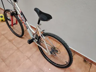 Bicicleta Globe Trotter plateada