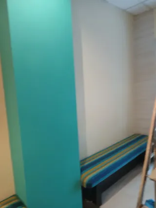 Servicios de pintura profesional